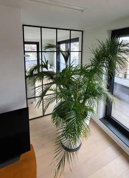 steellook geplaatst door Glasworx in een thuiskantoor